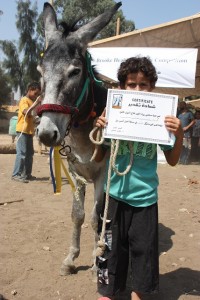 De winnaars in Cairo-klein-copyright Brooke Hospital for Animals